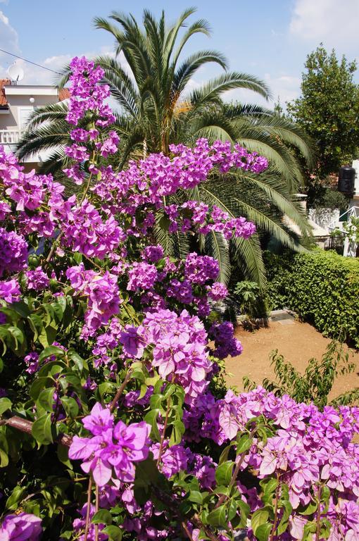 Villa Franda Trogir Exteriör bild